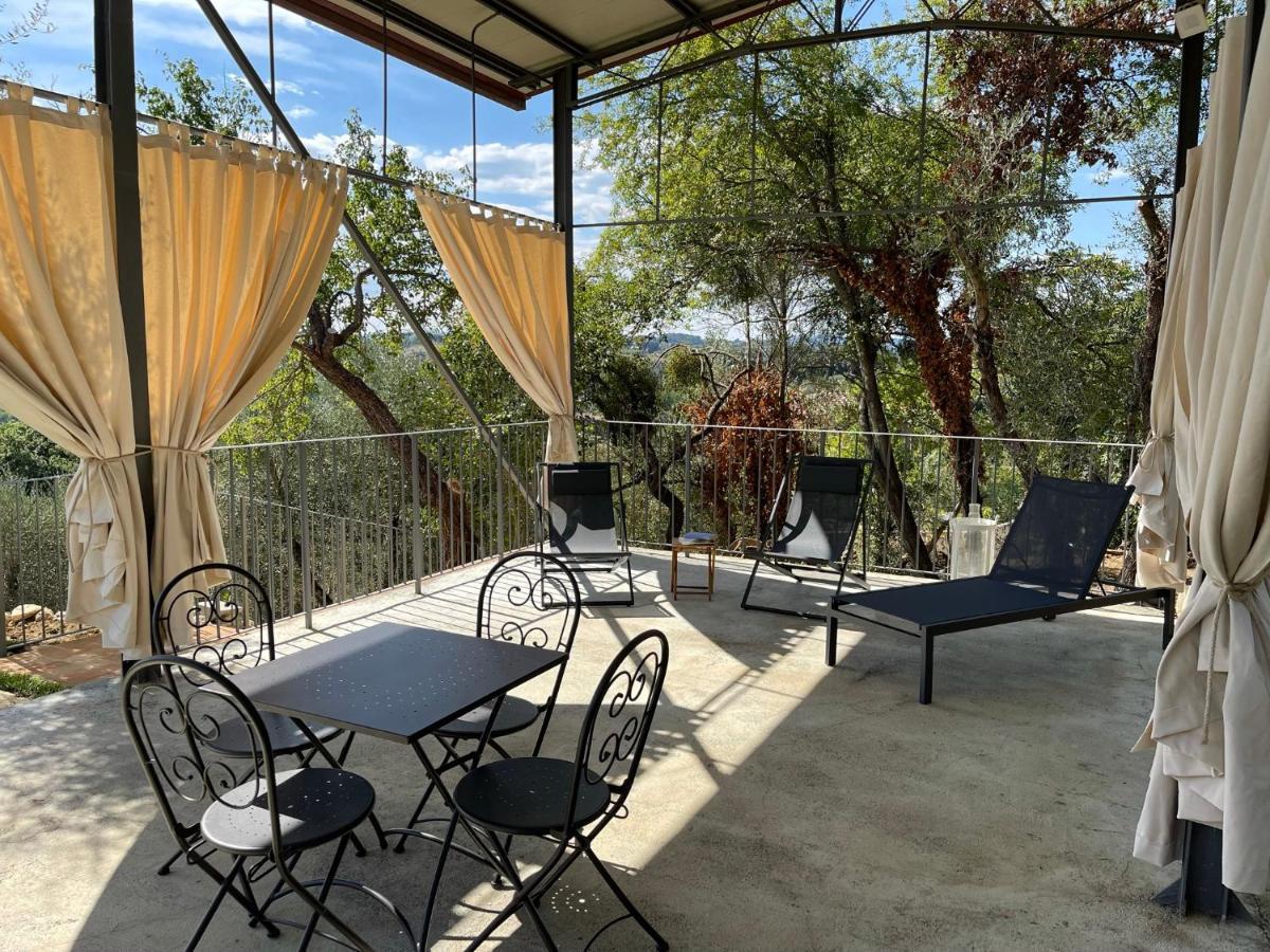 Oliveta Del Verde Appartamento Con Grande Giardino 500Mt Dal Centro シエーナ エクステリア 写真