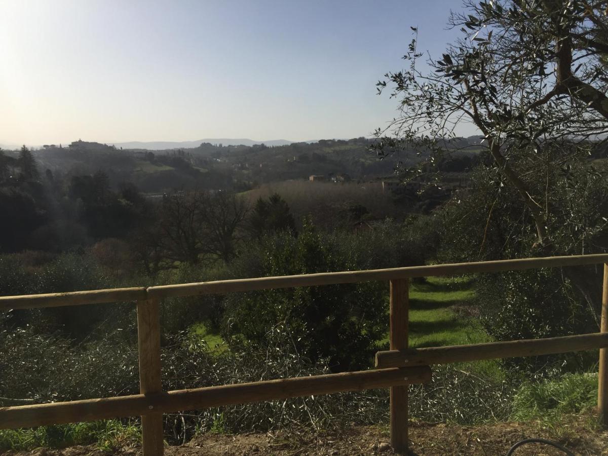 Oliveta Del Verde Appartamento Con Grande Giardino 500Mt Dal Centro シエーナ エクステリア 写真